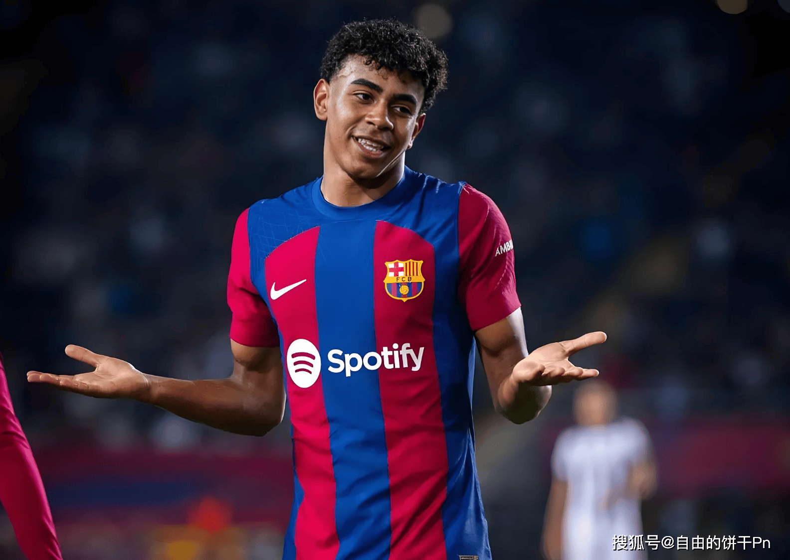 夏季高草与 夏季高草与